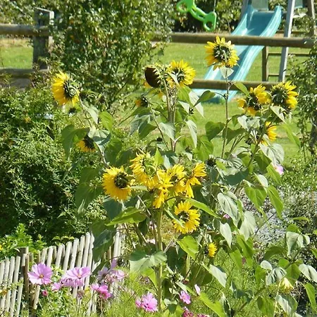 Hébergement de vacances Gîtes Fleur Des Pommiers *